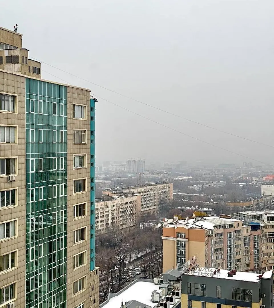 Cozy Apartment Dostyk Plaza Almaty